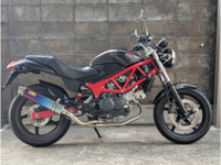 ＶＴＲ２５０
