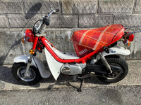 チャッピー50
