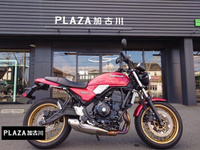 Ｚ６５０ＲＳ