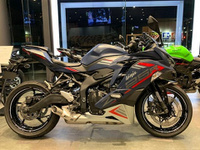 Ｎｉｎｊａ　ＺＸ－２５Ｒ