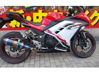 Ｎｉｎｊａ　２５０