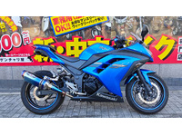 Ｎｉｎｊａ　２５０