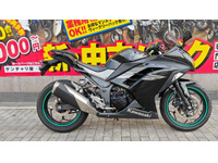 Ｎｉｎｊａ　２５０