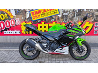 Ｎｉｎｊａ　２５０