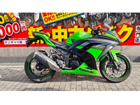 Ｎｉｎｊａ　２５０