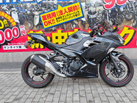 Ｎｉｎｊａ　２５０