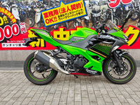 Ｎｉｎｊａ　２５０