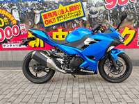 Ｎｉｎｊａ　２５０