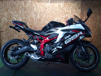 Ｎｉｎｊａ　ＺＸ－２５Ｒ