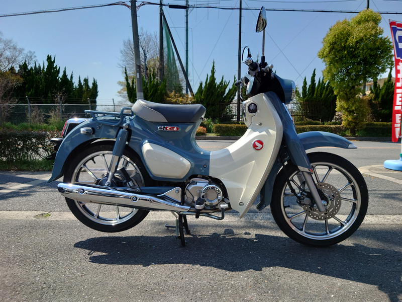 ホンダ スーパーカブＣ１２５ ２０２４年式 (966470) | 中古バイク・新車の事ならバイクの窓口