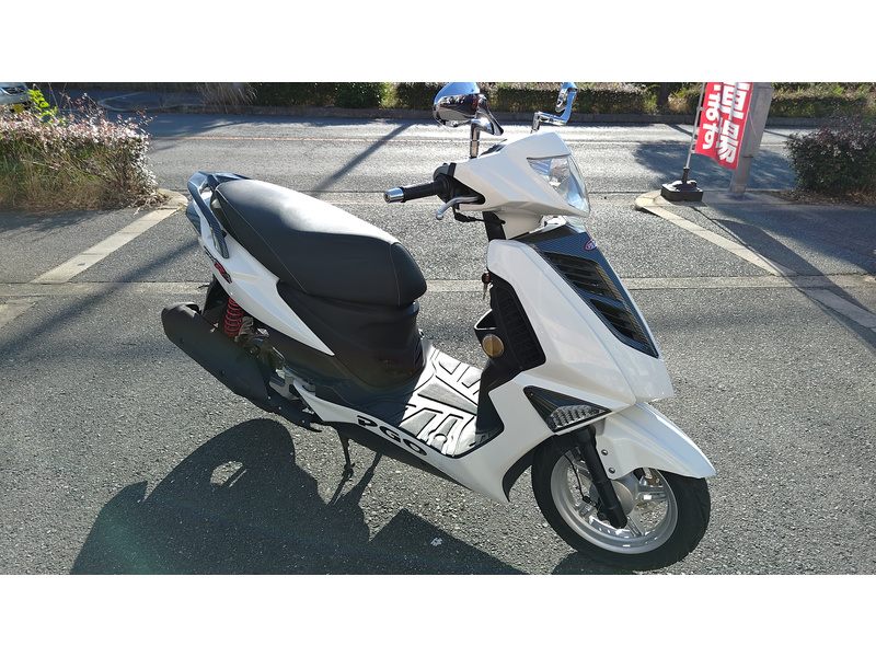 ＰＧＯ ＰＧＯ　ティグラ１２５　ワンオーナー車！　走行距離極小！ (1058584)　|　中古バイク・新車の事ならバイクの窓口