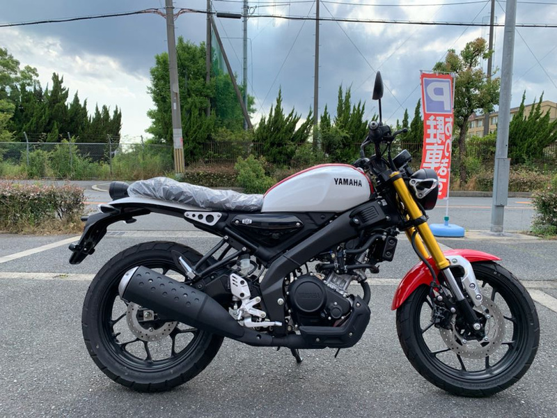ヤマハ ＸＳＲ１５５ ２０２２年 グローバルモデル (921578) | 中古 ...