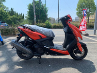 シグナス グリファス