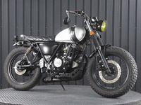 マットモーター　ＲＳ－１３　２５０