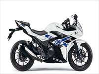 ＧＳＸ２５０Ｒ