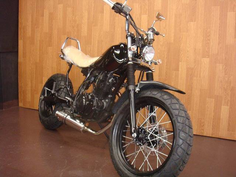 TW225E カスタム レアパーツ付き TW225E カスタム レアパーツ付き