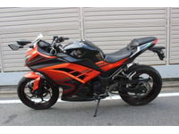 Ｎｉｎｊａ　２５０