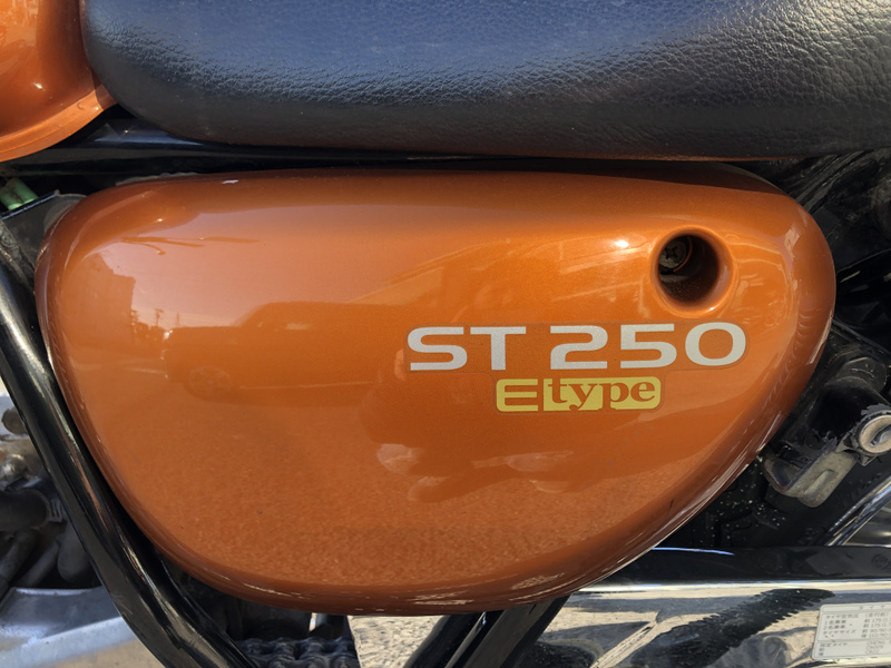 スズキ ST250 E Type (1184055) | 中古バイク・新車の事なら