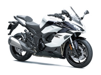 Ｎｉｎｊａ　１１００ＳＸ