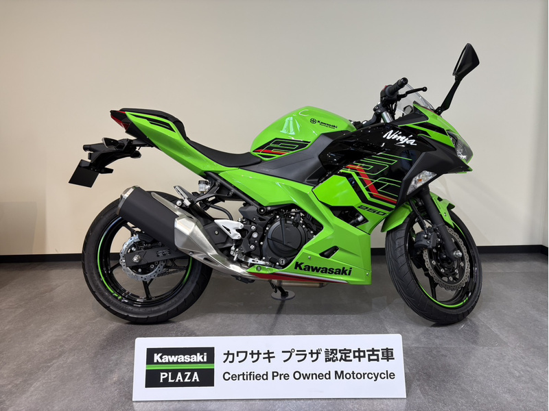 専用 緑 スピニング2本 カワサキ Ninja 250 (1205355) | 中古バイク・新車の事なら