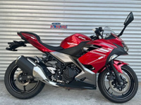 Ｎｉｎｊａ　２５０　ＡＢＳ