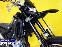 WR250X