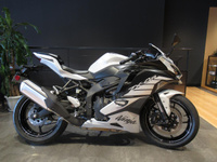 Ｎｉｎｊａ　ＺＸ－４Ｒ　ＳＥ