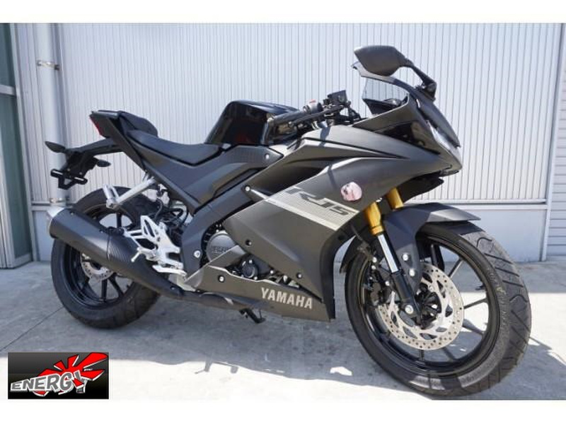 ヤマハ YZF-R15 実働中古車 チョイカスタム オイル交換後渡し