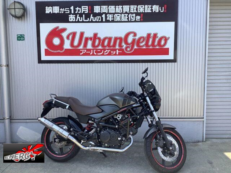 ホンダ ＶＴＲ２５０ Ｔｙｐｅ ＬＤ (1044233) | 中古バイク・新車の事ならバイクの窓口