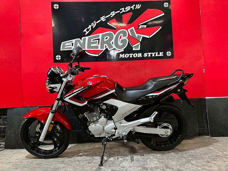 YBR250 YS250 【アライグマ】 YBR YS 250 🎑 12B-E1351-00 12B-E1181