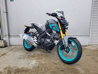 MT-125