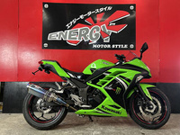 Ｎｉｎｊａ　２５０　ＡＢＳ