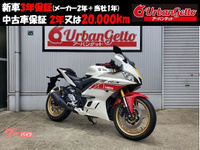 YZF-R3