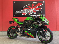 Ｎｉｎｊａ　ＺＸ－２５Ｒ