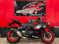 Ｎｉｎｊａ　２５０　ＡＢＳ