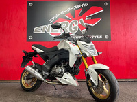 Ｚ１２５　ＰＲＯ