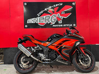 Ｎｉｎｊａ　２５０