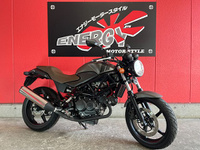 VTR250