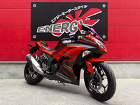 Ｎｉｎｊａ　２５０