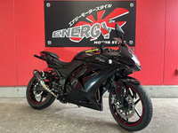 Ｎｉｎｊａ　２５０Ｒ