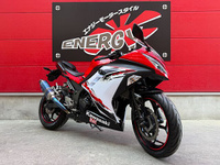 Ｎｉｎｊａ　２５０