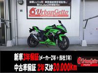 Ｎｉｎｊａ　２５０