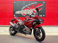 Ｎｉｎｊａ　２５０