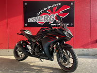 YZF-R25