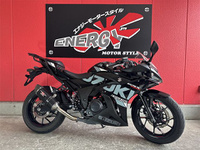 ＧＳＸ２５０Ｒ