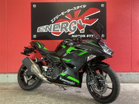 Ｎｉｎｊａ　２５０
