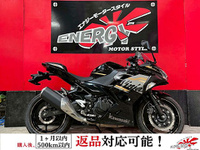 Ｎｉｎｊａ　２５０　ＡＢＳ