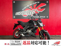Ｚ１２５　ＰＲＯ
