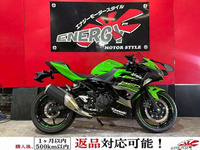 Ｎｉｎｊａ　２５０