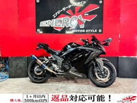 Ｎｉｎｊａ　２５０